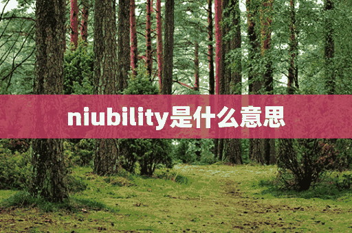 niubility是什么意思